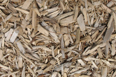 biomass boilers Sheet